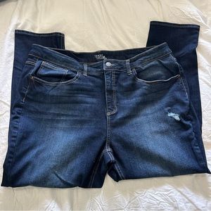 Time and Tru Plus Skinny Jean with Stretch - Size 22